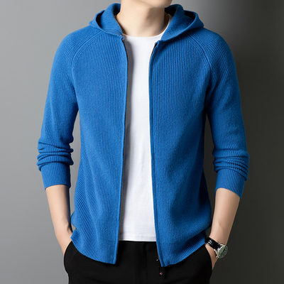 拉链毛衣秋冬季100%羊毛衫连帽男装针织衫日常休闲上衣百搭外套