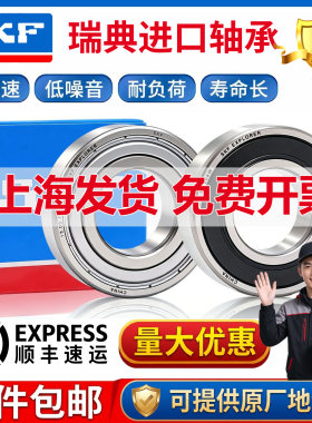 SKF进口轴承6306 6307 6308 6309 6310 6311 6312 6313 2RS1 2ZC3