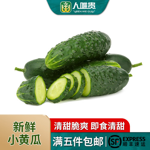 人唯贵新鲜蔬菜水果黄瓜两件包邮