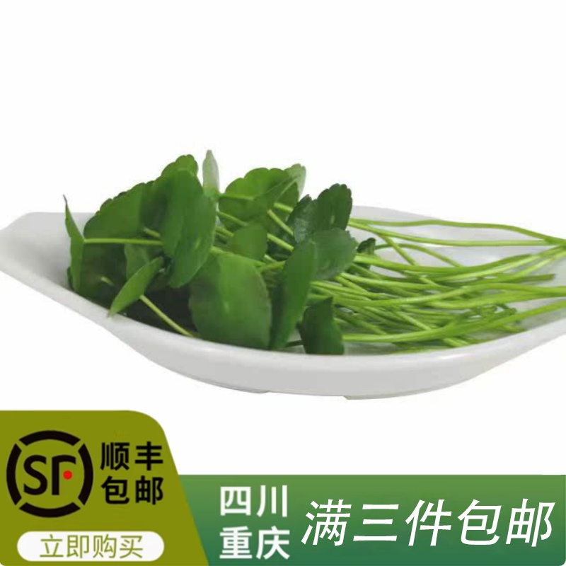 新鲜铜钱草旱金莲叶金钱草可食用酒店西餐摆盘装饰点缀草三件包邮