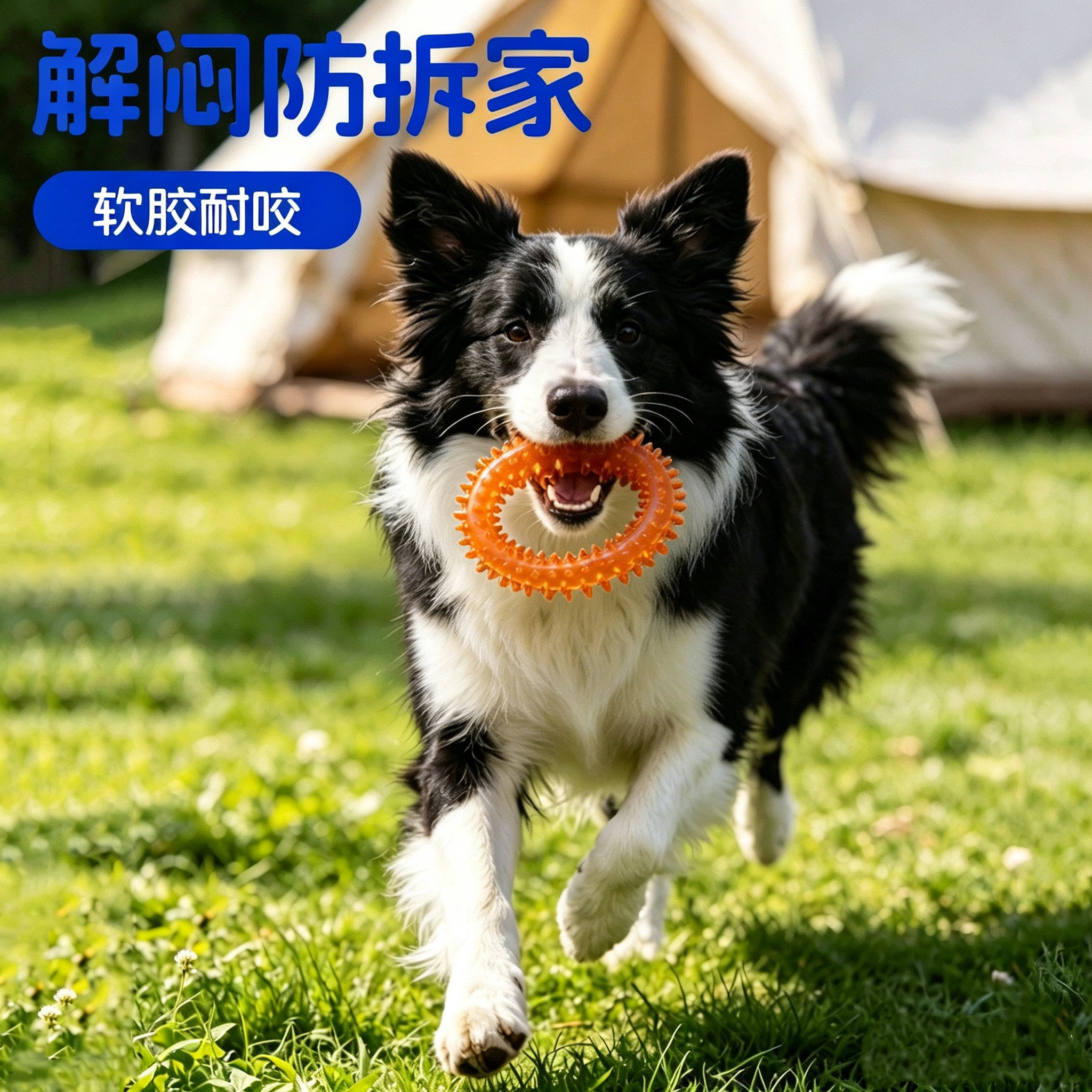 宠物玩具刺环狗狗飞盘大型犬边牧