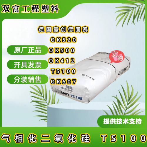 赢创德固赛ACEMATT消光粉OK607/OK520/OK500/OK412/TS100