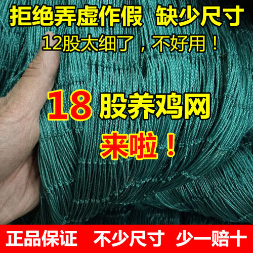 加粗18股养鸡网养殖网拦鸡网围栏