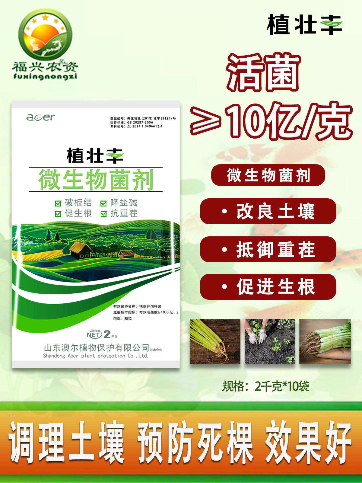 10亿/克枯草芽孢杆菌颗粒剂菌剂