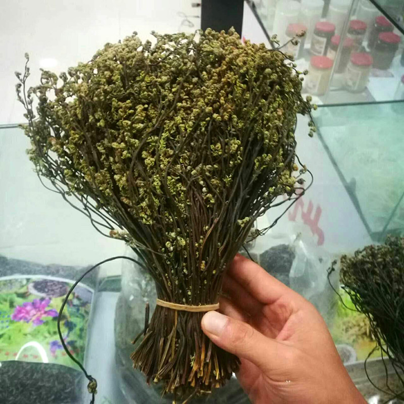 甘南藏区卓尼特产干蕨菜山珍野生蕨干龙爪菜自然晾晒500g干货包邮