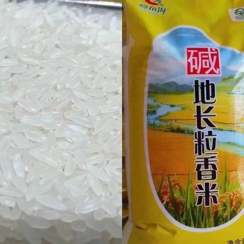 鲶鱼沟东北大米肇源碱地江水灌溉