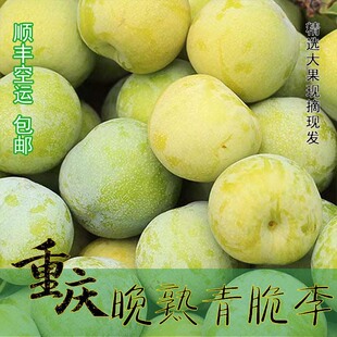 重庆清脆李脱骨李子当季水果新鲜晚熟青脆李甜李石宝寨本地李包邮
