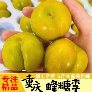 重庆蜂糖李新鲜水果5斤大脆李当季整箱脱骨李蜂糖蜜李顺丰包邮