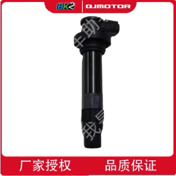 QJMOTOR钱江高压包原厂