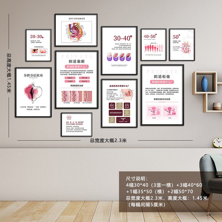 整套女性各阶段私密保养墙画 美容院产康墙壁挂画月子中心装饰画