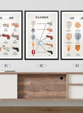 医美私密九型图艺术挂画产后疗愈房间广告墙画男女私密外阴装饰画