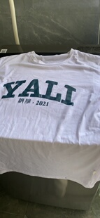 雅礼中学yali长沙校服班服私人订制夏季短袖纯棉宽松定制圆领T恤