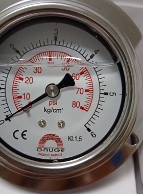 AE-AFP1台湾华记压力表0-6kg7kg轴向带边法兰不锈钢充油