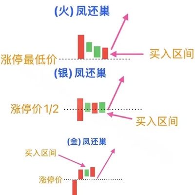 金银火 凤还巢强涨停追涨买入法通达信龙头选股 2026起爆技术指标