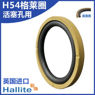 HALLITE格莱圈油封H54组合方形圈65英国赫莱特孔用双向活塞密封圈