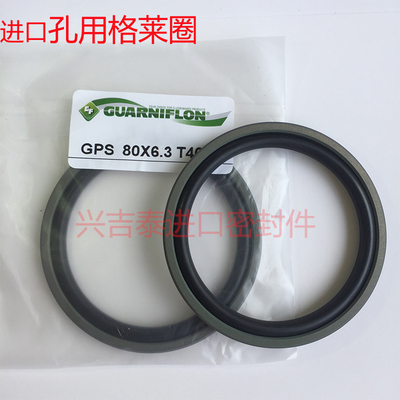 孔用格莱圈进口意大利GF PG GPS RS GCR轴用斯特封 GSZ AL5型尘封