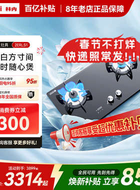 林内Rinnai燃气灶家用双灶天然气炉灶台定时防干烧2WLGM/S1