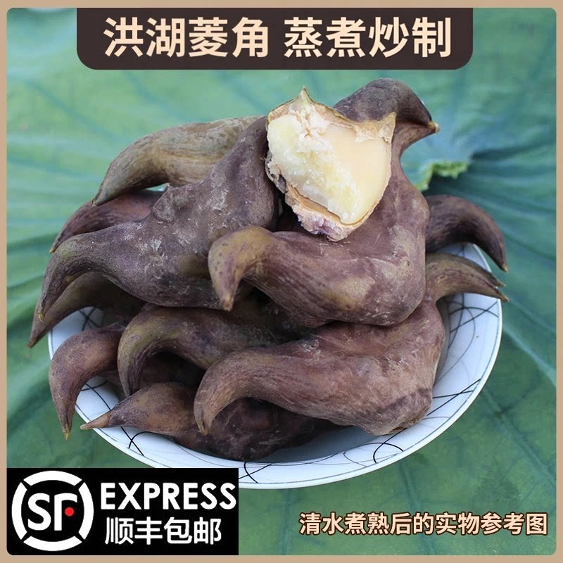华贵老菱角湖北洪湖当季