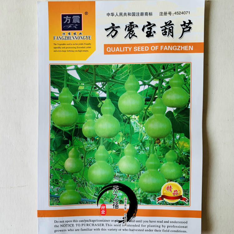 方震宝葫芦种子文玩大葫芦种子葫芦瓢酒葫芦种籽特色工艺品菜种籽