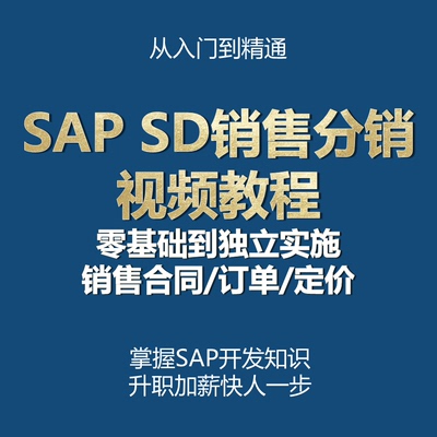 SAP视频教程SD销售分销模块