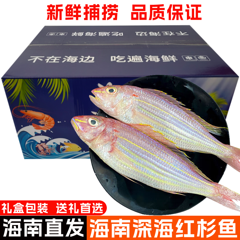 【空运包邮】海南深海红杉鱼新鲜海捕金线鱼冰鲜海鱼一整箱礼盒装