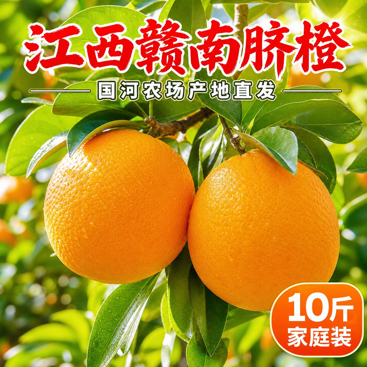 国河农场赣南脐橙现摘整箱