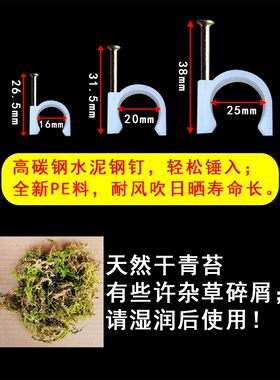 蔷薇花爬藤固定器月季爬墙钢钉卡扣植物枝条墙面牵引固定夹室外