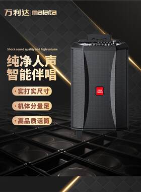 万利达音响M9026广场舞户