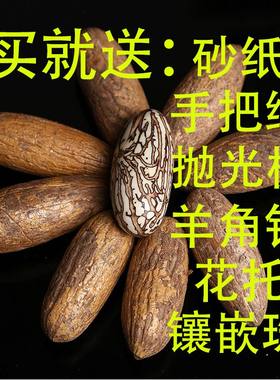 千眼菩提子原仔原料胖