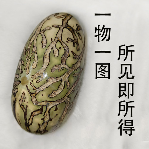 千眼菩提子成品绿果白果