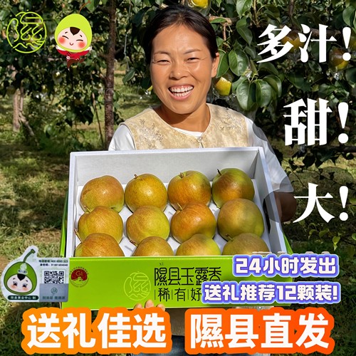 新果预售限时加赠隰县玉露香梨