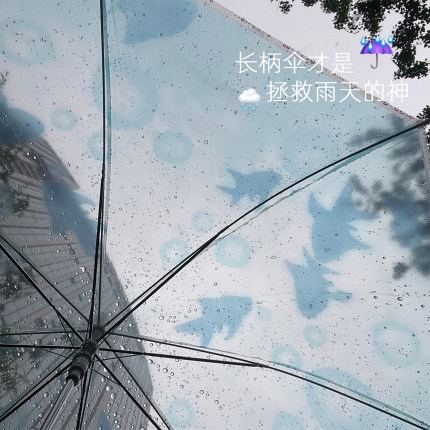 氧气小鱼透明伞原创加大8骨学生双人抗风男ins晴雨两用女长柄伞