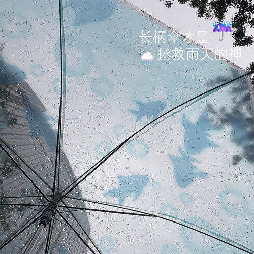 雨是神的烟花~伞是雨的救赎