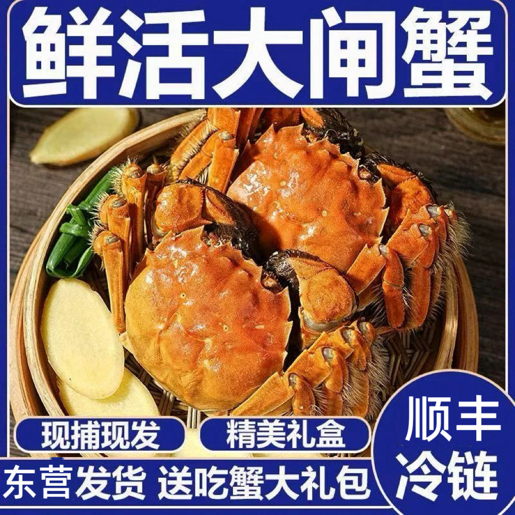 黄河口大闸蟹活蟹鲜活水产特大公4.0两母3.0两10只礼盒装 包鲜活