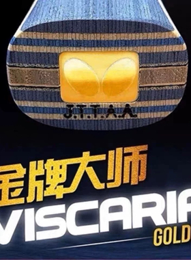 金标VIS蝴蝶王纪念版努力70周年波尔乒乓底板特注蝴蝶限量张继科