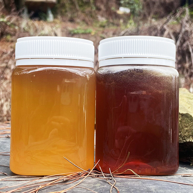 两斤荔枝龙眼蜂蜜原蜜广西梧州蒙山农家中蜂土蜂蜜不加工原产地发