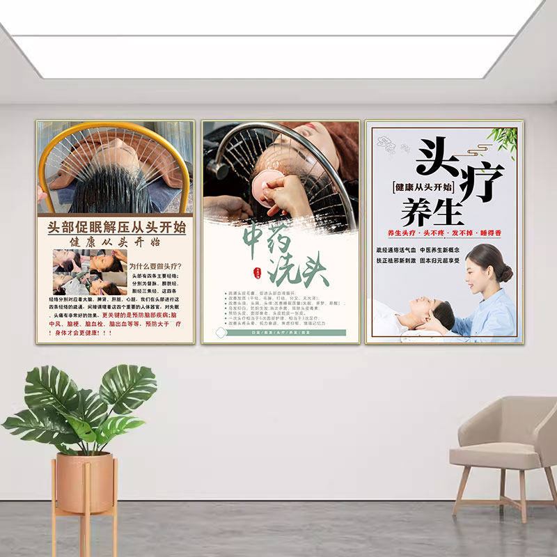 头疗图片宣传画禅洗海报头部保养挂画头皮检测图壁画头疗馆装饰画