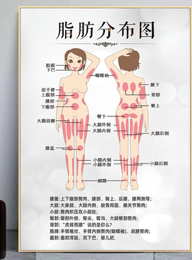 人体脂肪分布图纤体瘦身体雕海报