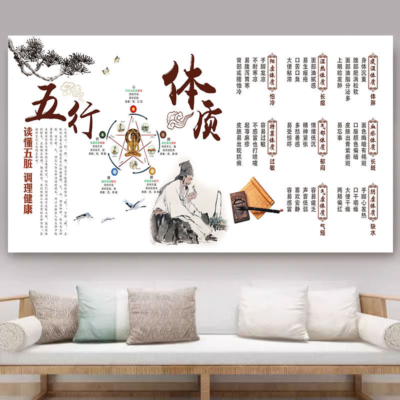 五脏六腑图经络挂画体质调理海报