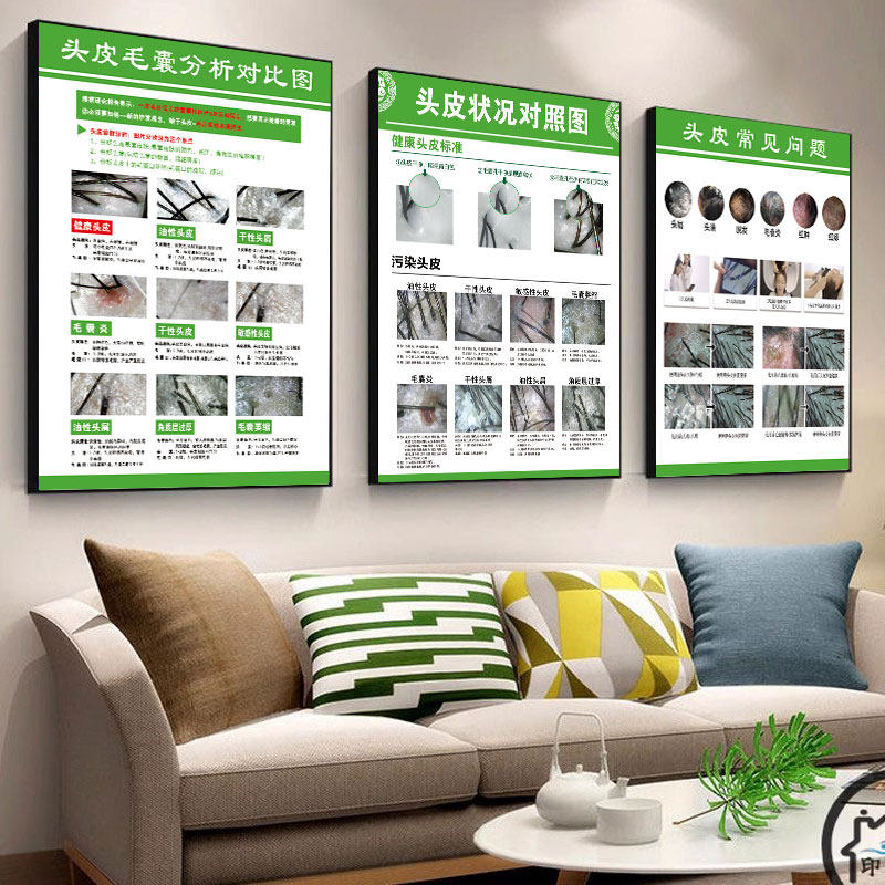 头皮毛囊检测海报生发养发对比图墙贴脱发等级挂画白转黑头疗广告