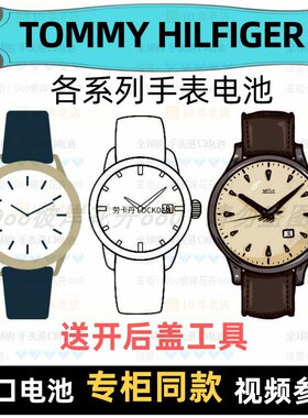 适用于 TOMMY HILFIGER 牌手表的电池各型号进口电子纽扣电池⑦