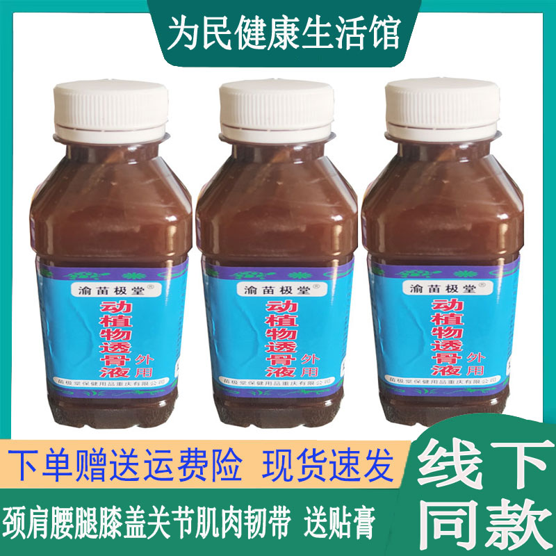 渝苗极堂动植物透骨液老寒腿腰肌劳损肩周脚踝腱鞘膝关节胯骨腰肌