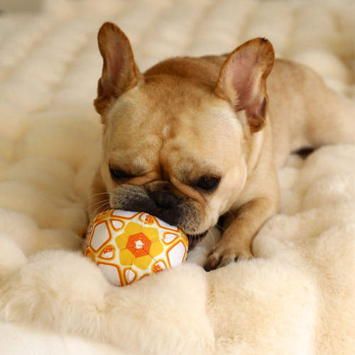 狗狗解闷发声球耐咬耐磨