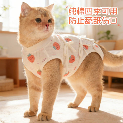 猫咪绝育服纯棉母猫断奶