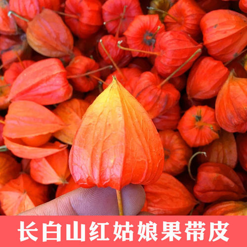 2024新鲜长白山红姑娘果