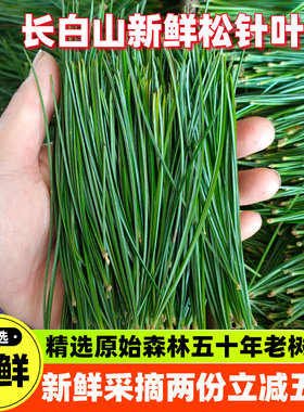 长白山原始森林松针两份包邮顺丰