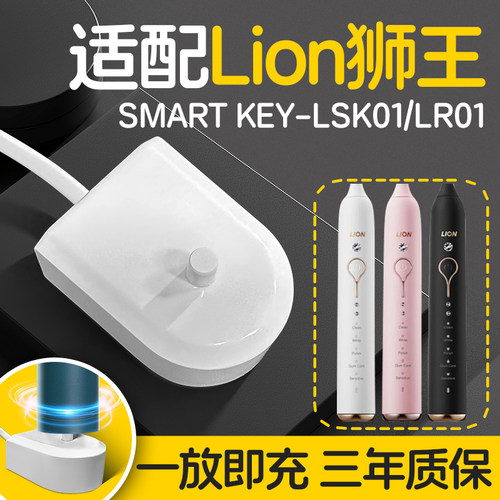 适配狮王Lion电动牙刷充电器