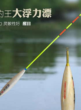 矶钓王路亚滑漂浅水漂超短立漂手竿加粗醒目高灵敏浮漂浮钓鲢鳙漂