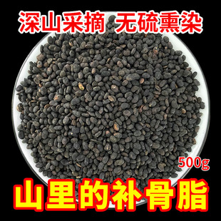 山里补骨脂药材正品无硫熏干净饱满包邮黑故子婆固脂补骨脂颗粒