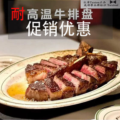 美国德士敦耐高温陶瓷盘西餐厅烤箱专用牛排盘战斧牛扒椭圆形鱼盘
